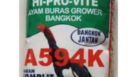 Manfaat pur 594 untuk ayam bangkok