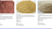 Chickens foods feed feeding checklist safely