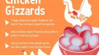 Gizzard