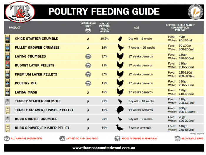 Tabel pemberian pakan ayam broiler