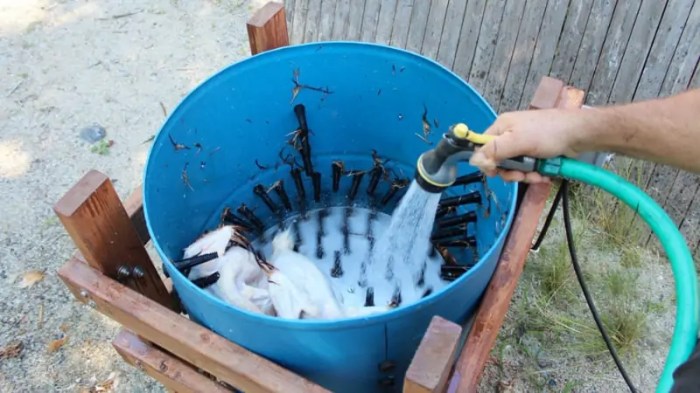 Cara membuat alat kliter ayam modern