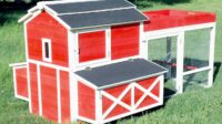 Chicken coop decorative treasure box choose board completed project