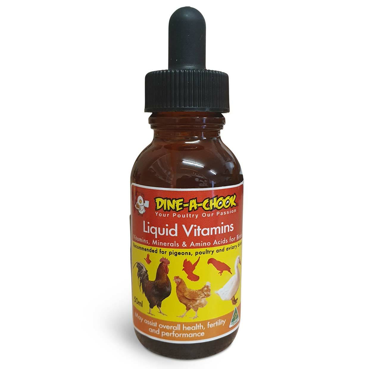Vitamin ayam bangkok umur 3 bulan