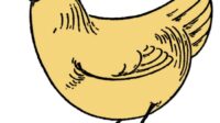 Gambar ayam mudah