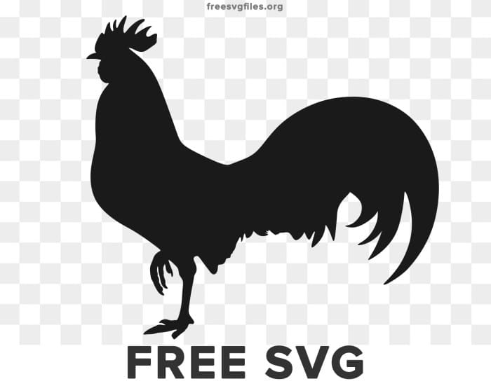 Siluet ayam jago