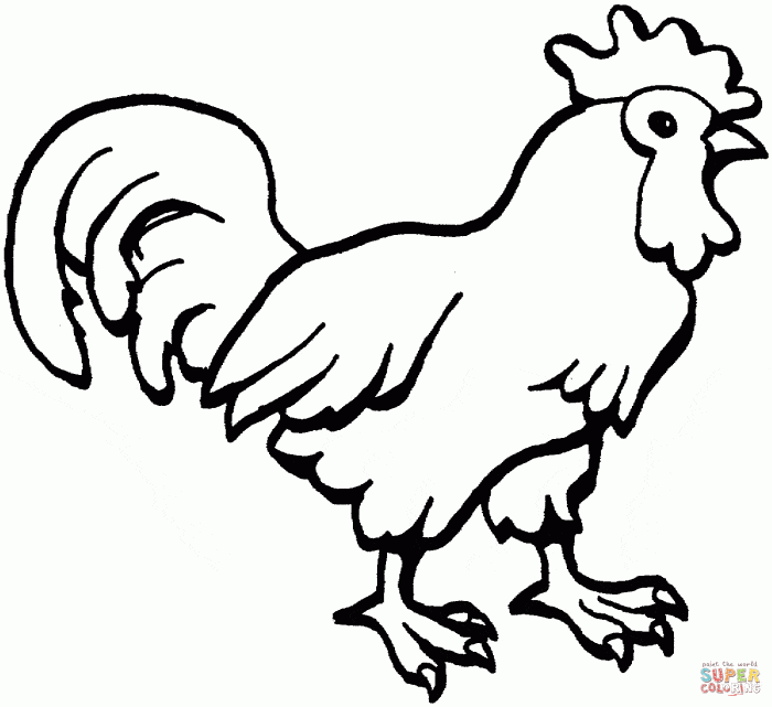 Mewarnai gambar ayam
