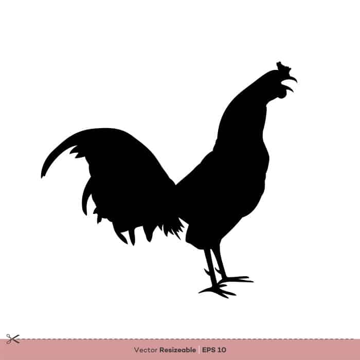Silhouette vector rooster roosters funny google file vecteezy animals chicken cock welovesolo animal silhouettes fighter farm views graphics edit arrow