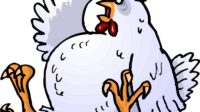 Gambar ayam kartun lucu