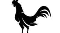 Logo kepala ayam