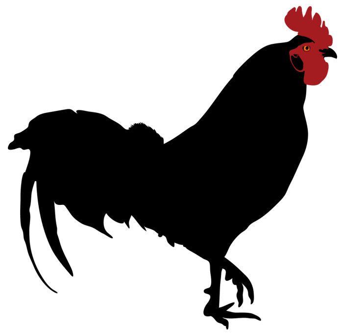 Rooster silhouette vector vectorstock royalty