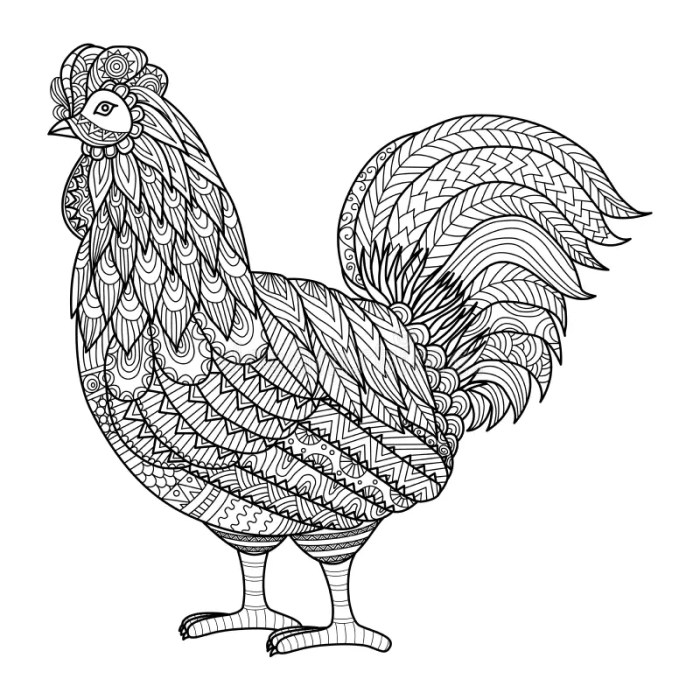 Mewarnai gambar ayam