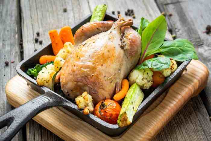 Apa Saja Makanan Terbaik untuk Ayam Pheasant