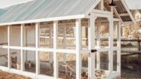 Coop coops chickens galinheiro theownerbuildernetwork quintal galinha gaiolas galinhas cage hutch corredor movel galinheiros animais obn
